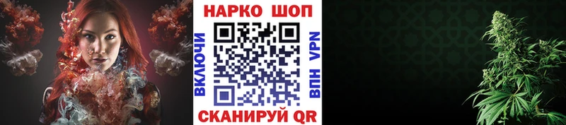  COCAIN Магадан