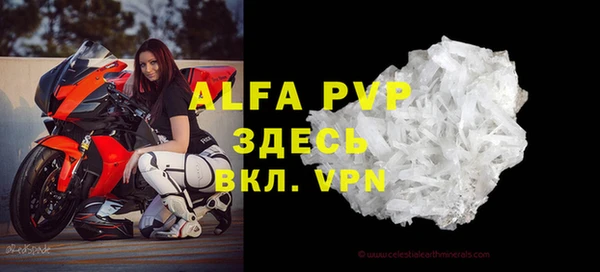 сатива Арсеньев