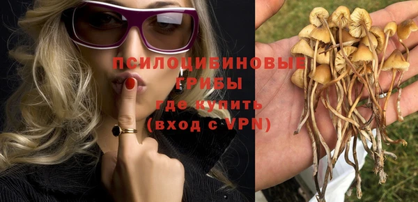 ECSTASY Аркадак