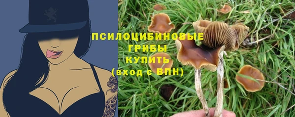 сатива Арсеньев