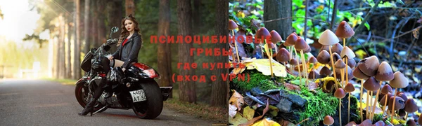 ECSTASY Аркадак
